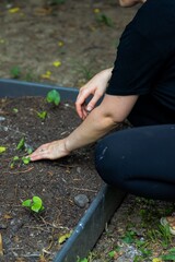 close up of a woman&rsquo;s hand while she works in the garden touching the soil - a woman planting seeds in her yard evening 
