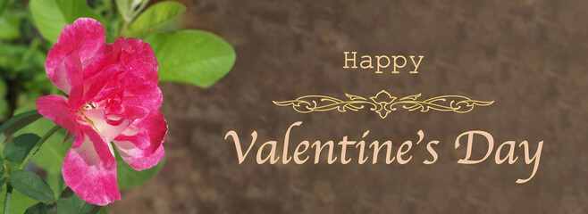 Happy Valentine's Day wide panorama. Horizontal banner. Pink rose with leaves on a beige brown abstract background. Greeting inscription. Image for congratulations. Graphic design, idea, concept.