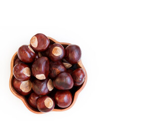 Buckeye Chestnut in wooden bowl on white surface. Top View formation of Fresh conkers with copy space.