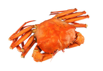 single steamed red crab isolated on white background