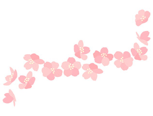桜93　さくら　花