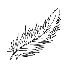 Obraz premium Fluffy bird feather drawn in doodle style in black outline on a white background. Vector for wedding invitations, cards, tickets, greetings, branding, logo labels, emblems.