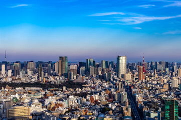 東京都渋谷区から見た東京の都市景観