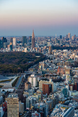 Obraz premium 東京都渋谷区から見た東京の都市景観