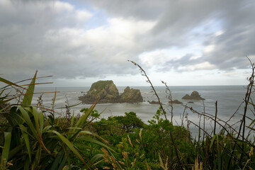 Rugged beach along the West Coast of the South Island