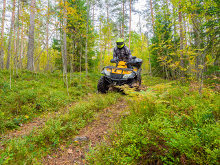 ATV rider rides among tall grass. He travels on quad cycle. ATV rider stands still while riding. ATV rider rides in a yellow helmet. He travels through green forest. Extreme tourism by quad cycle