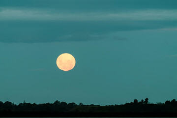 Orange color moon in dark sky