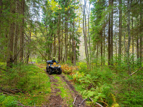 ATV rides through mud. Trees behind quadbike. Motocross in summer forest. Racer is driving on forest roads. Man on a quad bike in distance. ATV hemlet on his head. ATV driver on forest trail