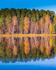 Autumn forest with reflection in the pond water