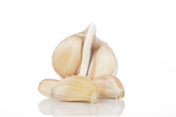 a garlic isolated on white background