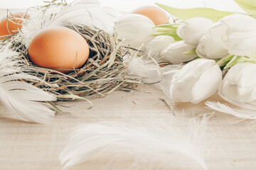 Natural easter colour eggs in basket with spring tulips, white feathers on wooden table background in Happy Easter decoration. Spring holiday concept.