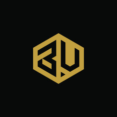 Initial letter BU hexagon logo design vector