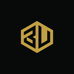 Initial letter BV hexagon logo design vector