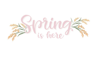 Vector lettering illustration of "Spring is here" for Happy holidays greeting card. Lettering celebration logo. Typography for spring holidays. Calligraphic poster on white background. Postcard.