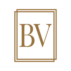 Simple Elegant Initial Letter Type BV Logo Sign Symbol Icon, Logo Design Template