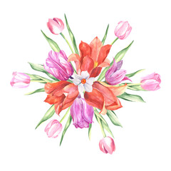 flowers illustration with watercolor tulips