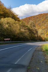 Autumn mountain landscape - yellowed and reddened autumn trees combined with green needles and blue sky on the side of a deserted road. Colorful autumn landscape scene in the Ukrainian Carpathians.