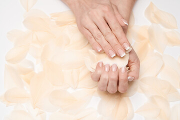 Beautiful Female Hands with French manicure and feathers over light grey background