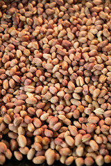 Roasted peanuts in the oven