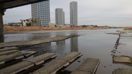 多摩川　河原　川辺