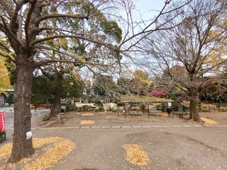 公園広場