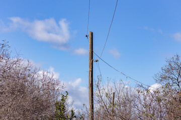 Old electricity pole and blue sky in Turkey.