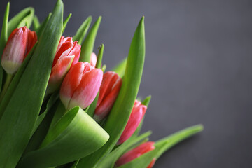 Naklejka premium Flowers, spring holidays and home decor concept - Bouquet of beautiful tulips, floral background