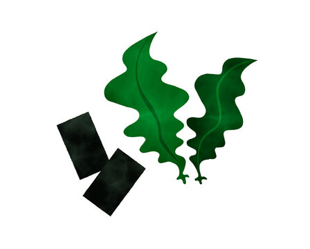 海藻類 の画像 2 6 件の Stock 写真 ベクターおよびビデオ Adobe Stock 海藻類 の画像 2 6 件の Stock 写真 ベクターおよびビデオ Adobe Stock