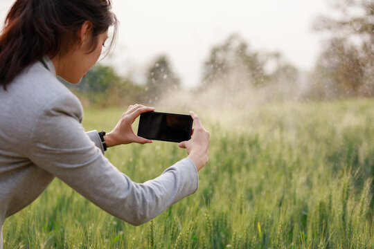 Young woman using smartphone take picture at barley land.