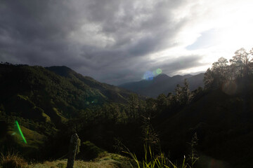 
trees, sky, clouds, mountain, night