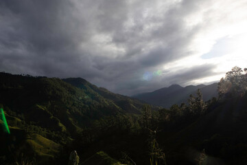 
trees, sky, clouds, mountain, night