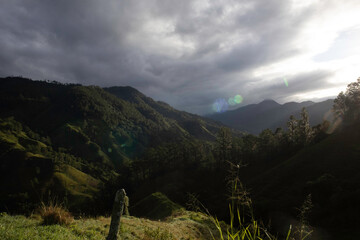
trees, sky, clouds, mountain, night