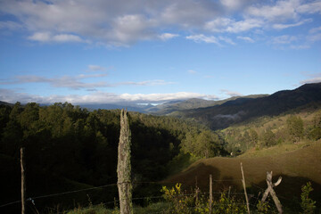 
trees, sky, clouds, mountain, night