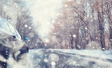 Winter forest landscape. Tall trees under snow cover. January frosty day in the park.