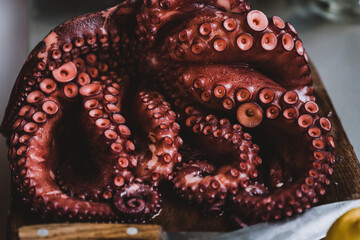 Gourmet seafood octopus.  Freshly cooked purple octopus on wooden cutting board, close-up.