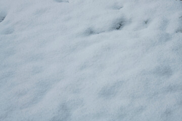 Fototapeta na wymiar Beautiful snow background close up.Texture,backdrop,wallpaper