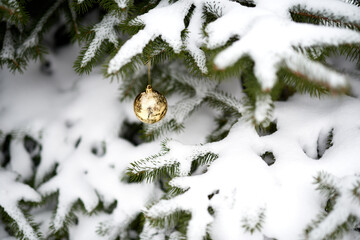 Fototapeta na wymiar Christmas tree under the snow