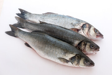 Sea bass with white background
