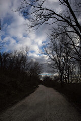 
trees, sky, clouds, mountain, night
