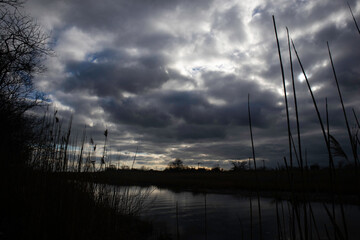 
trees, sky, clouds, mountain, night