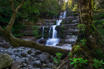 Fototapeta na wymiar The Liffey's Falls in Tasmania, Australia