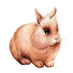 Bunny on white isolated background, watercolor illustration