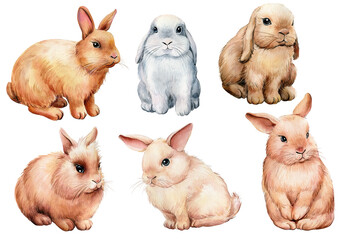 Set of bunnies on white isolated background, watercolor illustration
