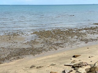 low tide on the beach