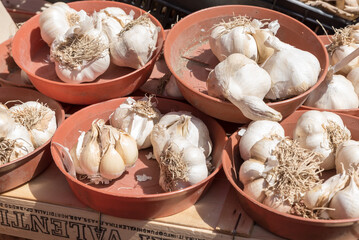 Garlic on the market bench