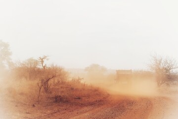 safari in kruger national park © David