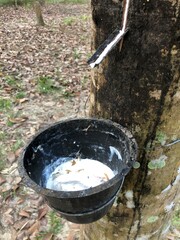 water flowing into a puddle