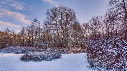 Winter sunny day in the city park