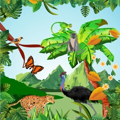 Jungle wildlife illustration. ostrich. toucan. in the jungle. tropical plants and animals, vector