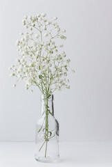 white bouquet in a transparent vase on a blue background